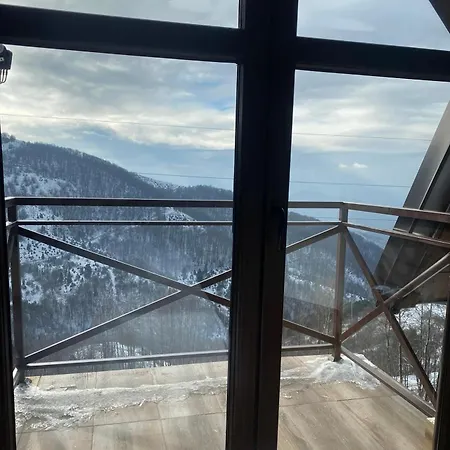 Mountain View Haven *