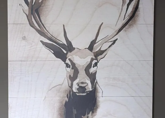 Mountain View Haven * Kopaonik